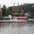 Szarvas 026